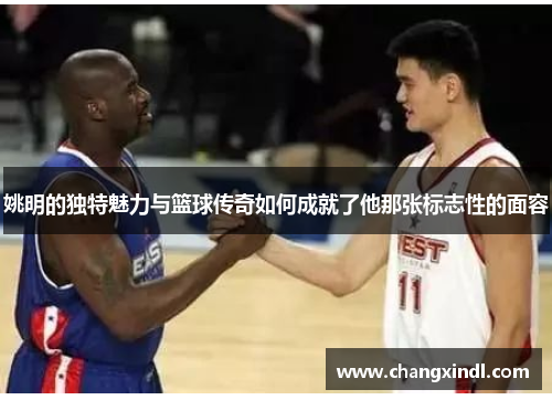 姚明的独特魅力与篮球传奇如何成就了他那张标志性的面容