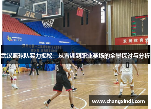 武汉篮球队实力揭秘：从青训到职业赛场的全景探讨与分析
