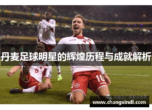 丹麦足球明星的辉煌历程与成就解析