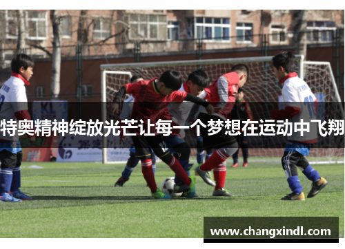特奥精神绽放光芒让每一个梦想在运动中飞翔